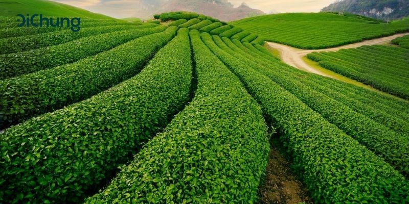 Khoảng cách Phổ Yên Thái Nguyên cách Hà Nội bao nhiêu km và lựa chọn xe khách phù hợp